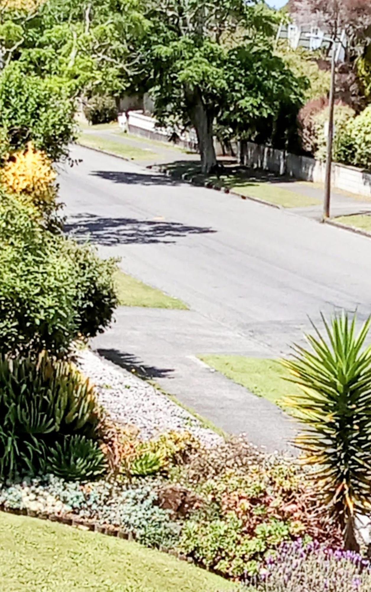 Park View 'Home Away From Home' Feilding Eksteriør billede